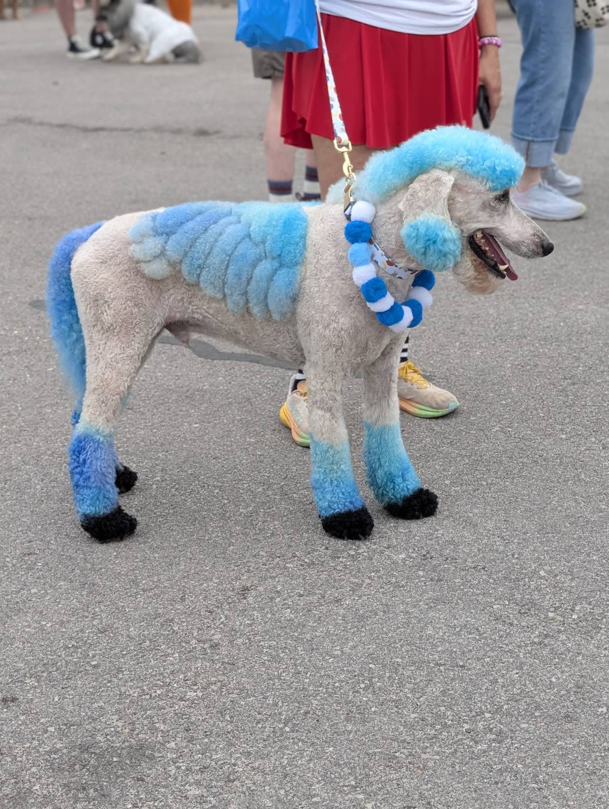 Live Sound – Pooch Parade, San Antonio Fiesta 26