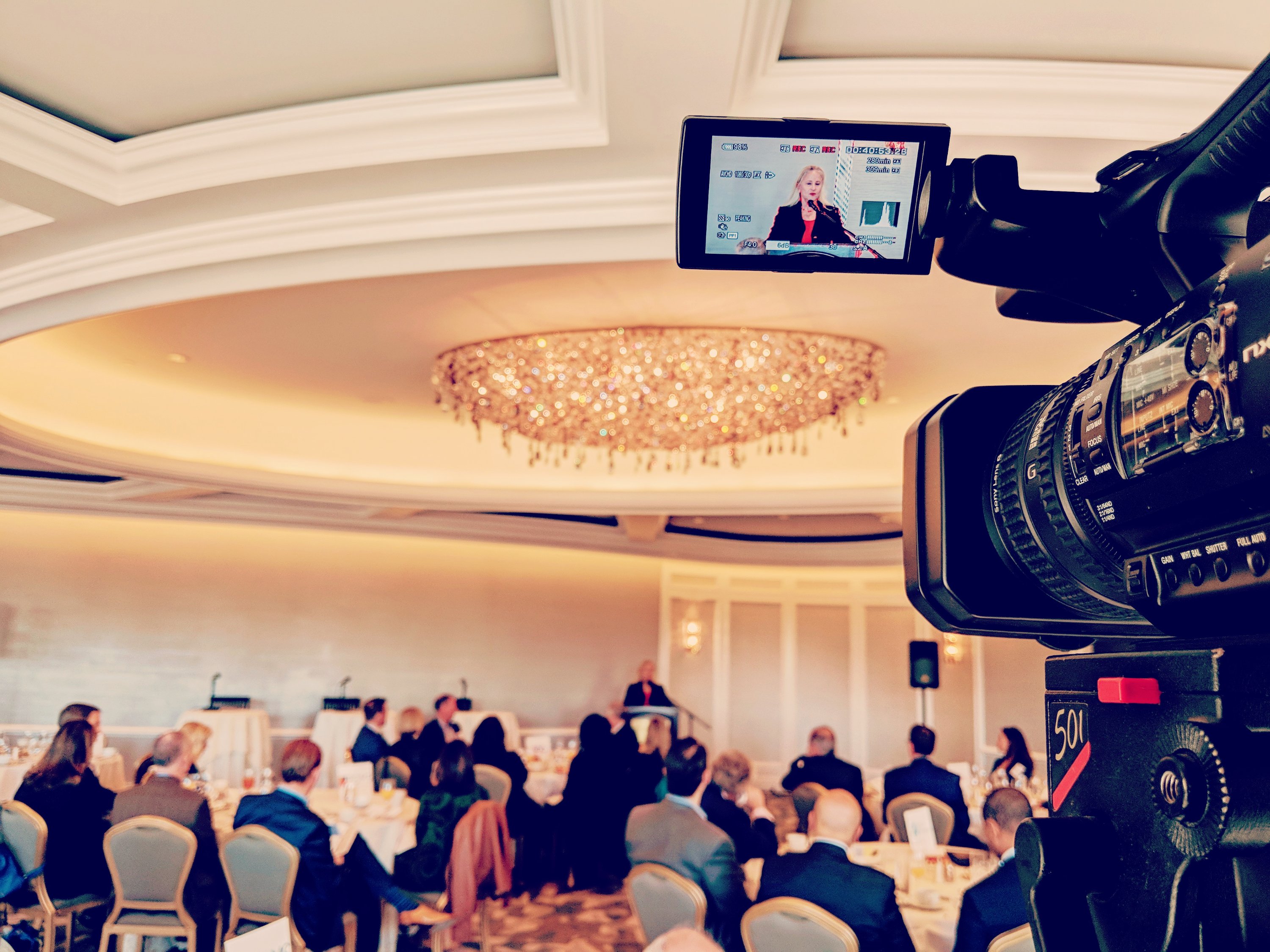 Video recording service, Elysian Sound and Light